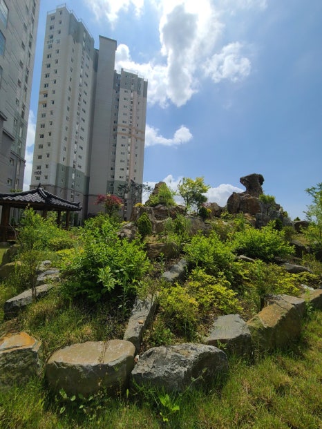 세영그린환경 이미지