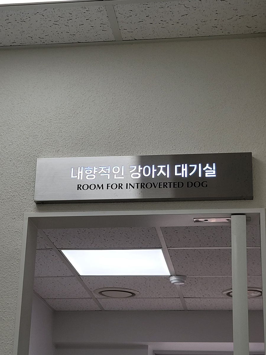 꾸름 이미지
