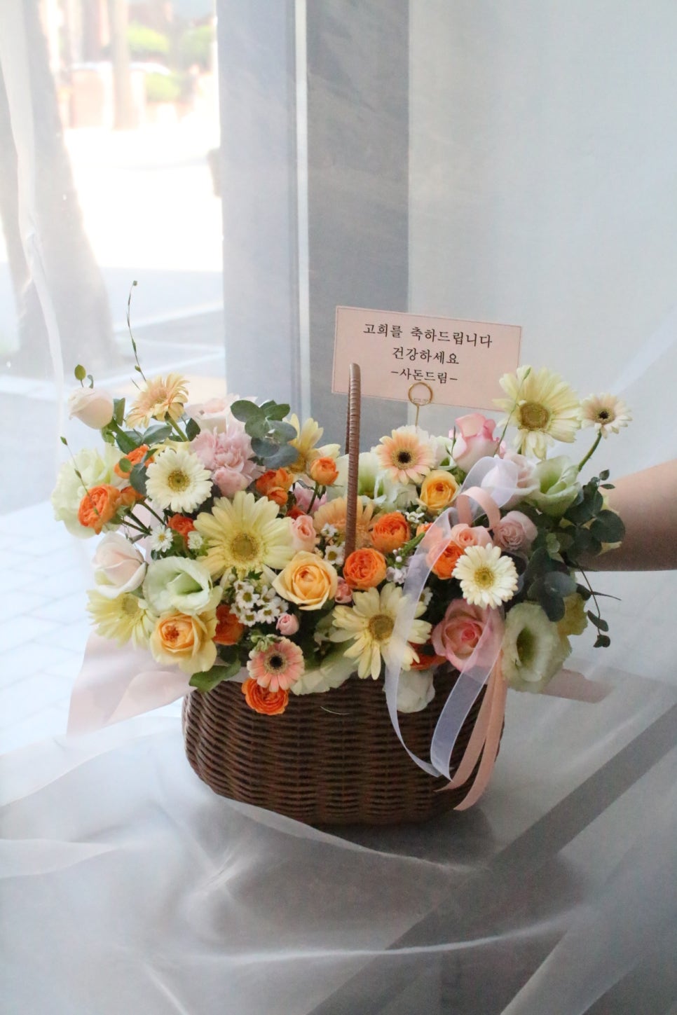 더피올라 이미지