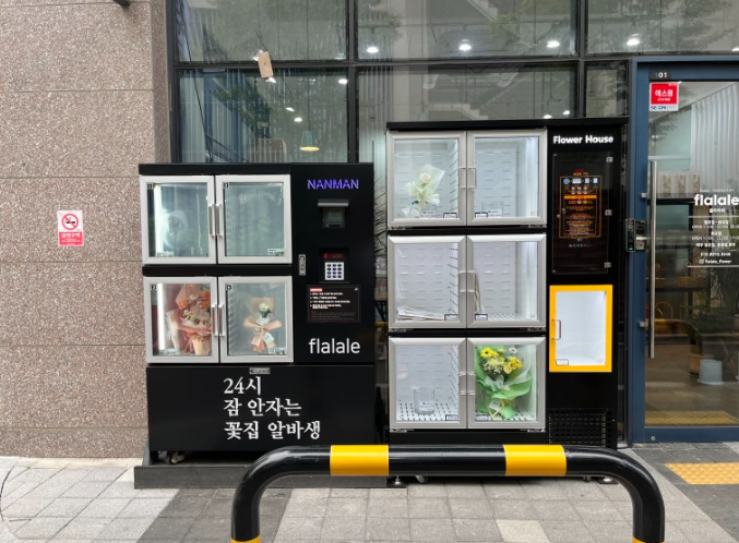 플라라레 이미지