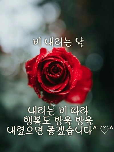 앙탈 이미지