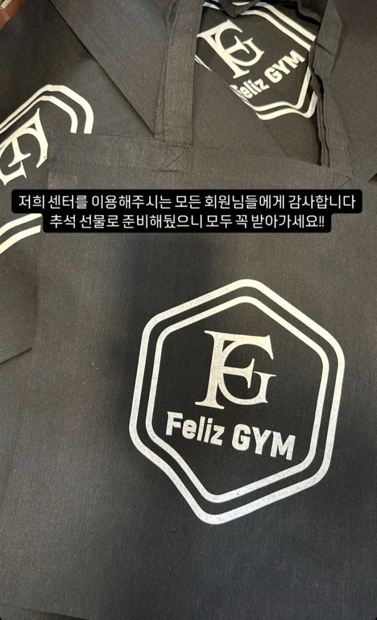 펠리스짐 이미지