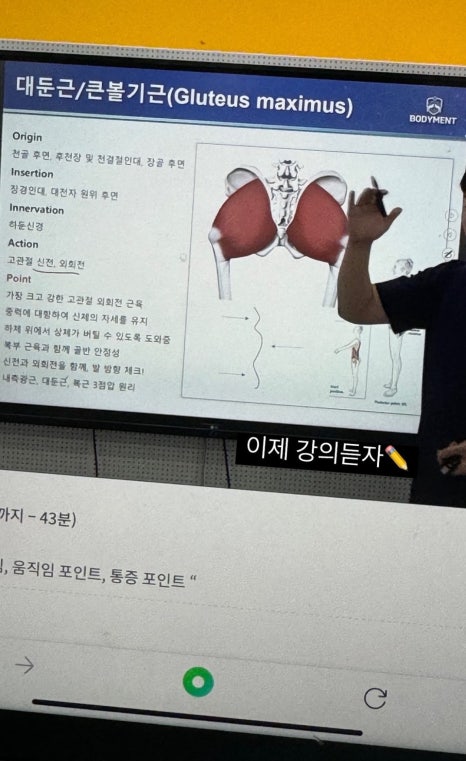 에르모소 이미지