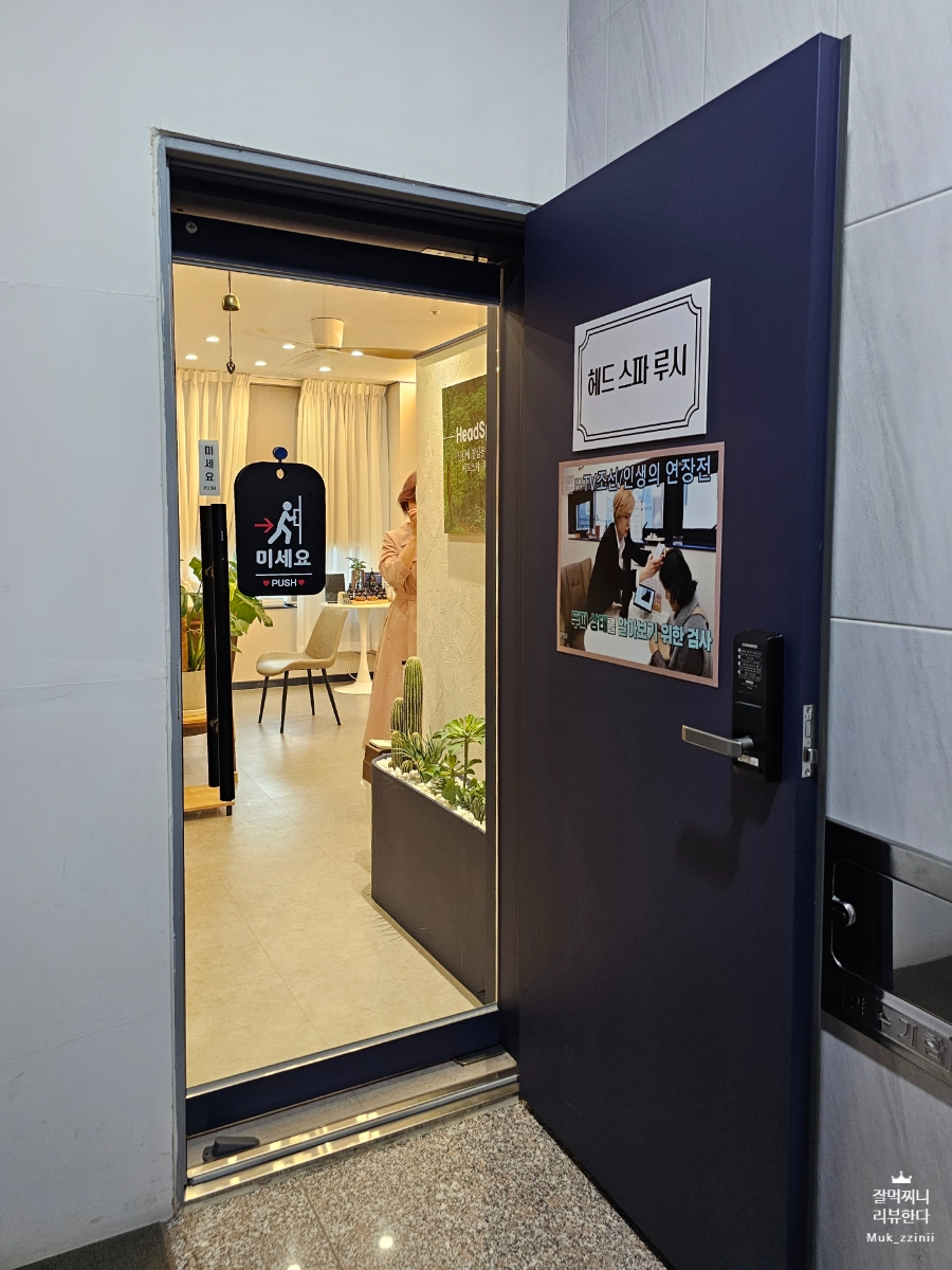 헤드스파루시 이미지