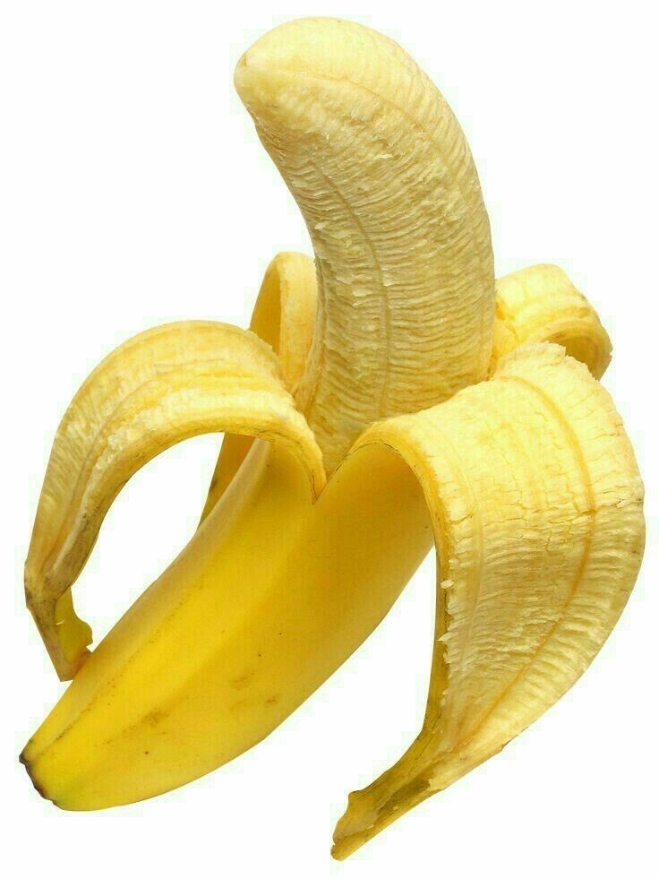 까페나무 이미지