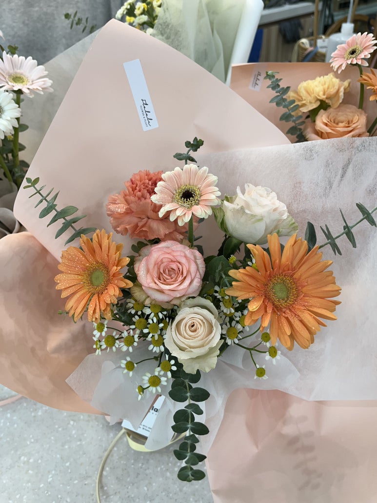 플라라레 이미지