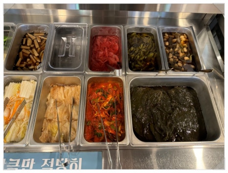 용마그집장어 이미지