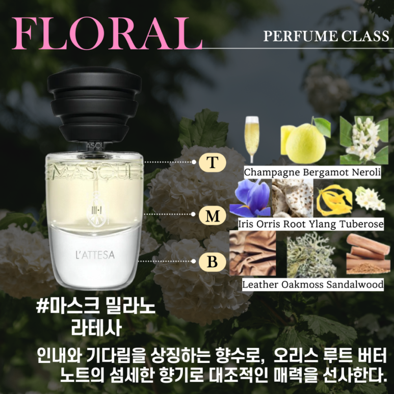 흙내음화가 이미지