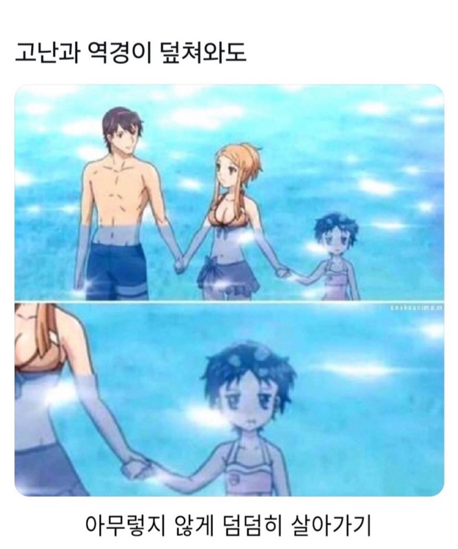탕후루후루 이미지