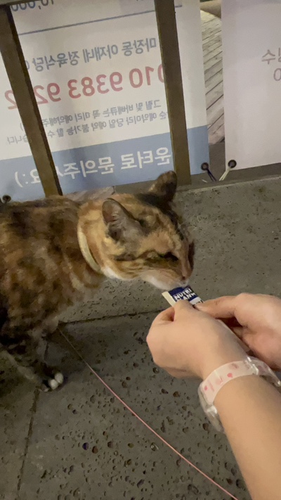 마장동아재네정육식당 이미지