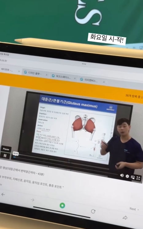 에르모소 이미지