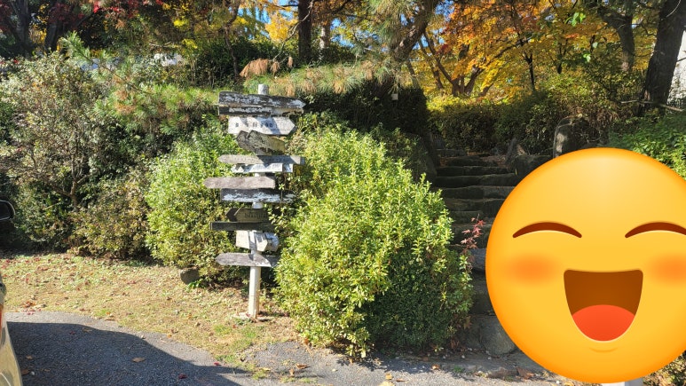 그레이트풀그라운드 이미지