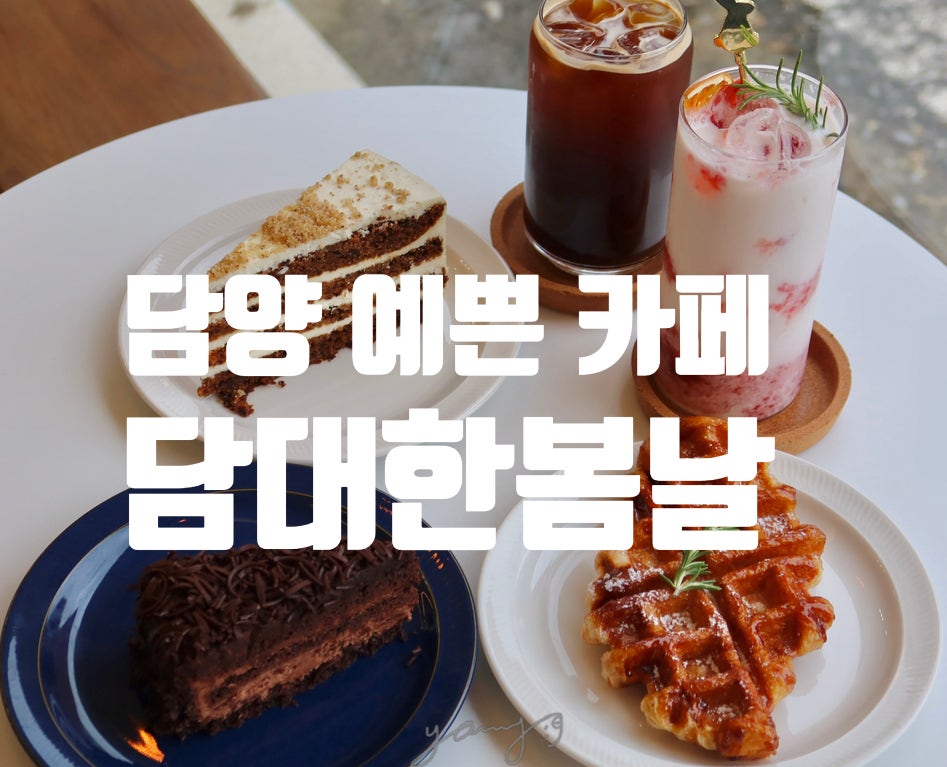 담대한 봄날 이미지