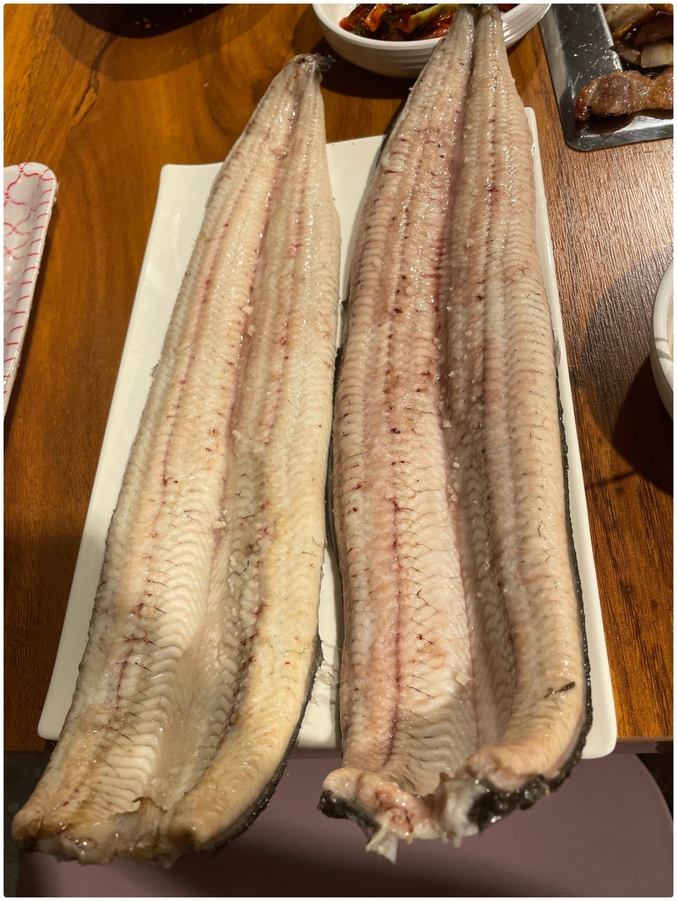 채움장어 이미지