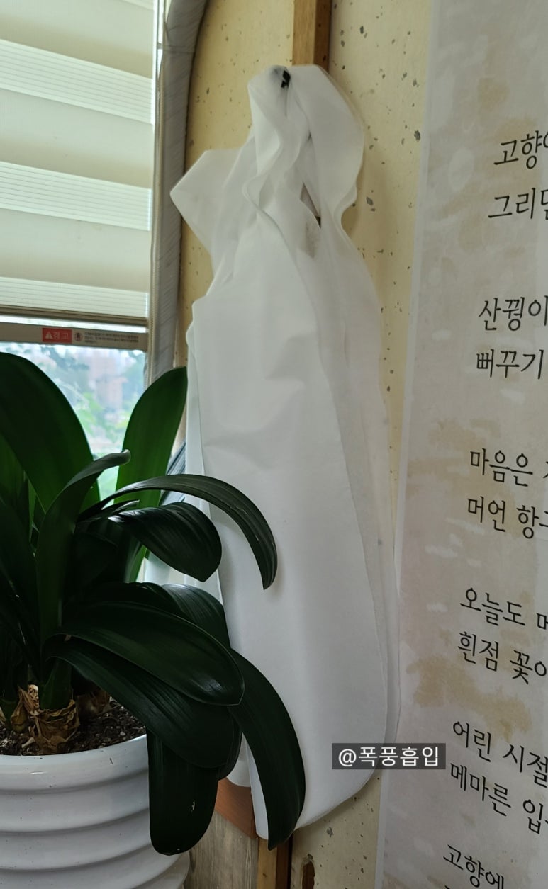정다함 이미지