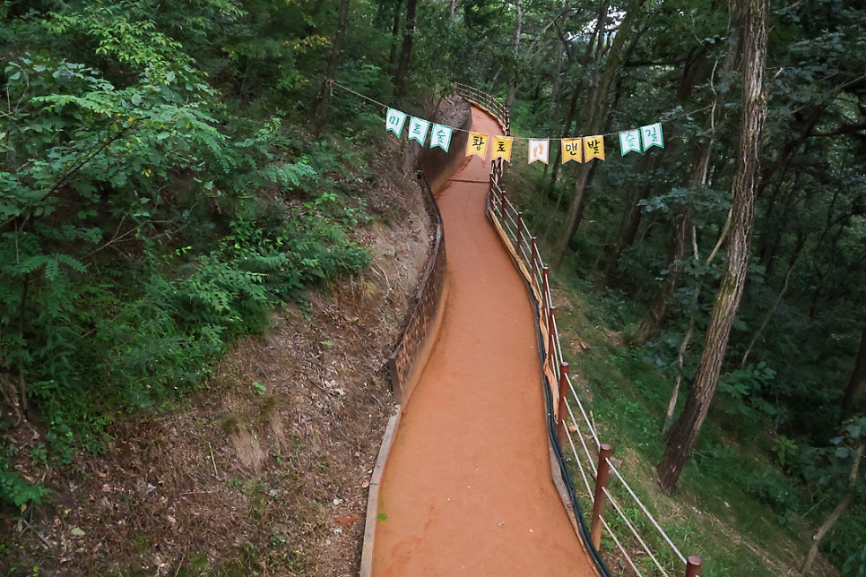 미르코스 이미지