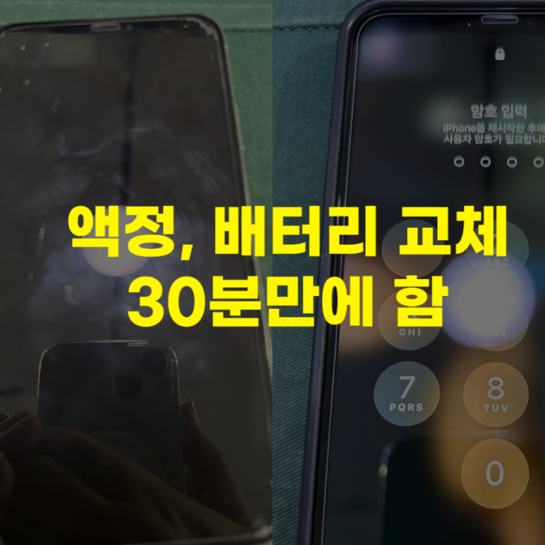 성신밧데리 이미지