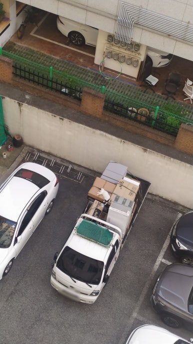 낮잠과바람 이미지