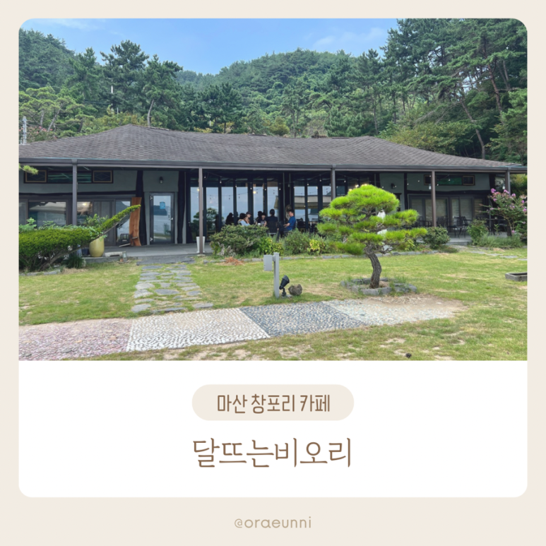 달뜨는비오리 이미지