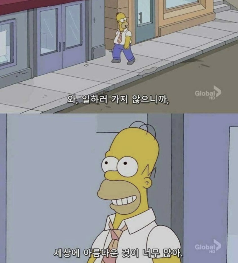 백수 이미지