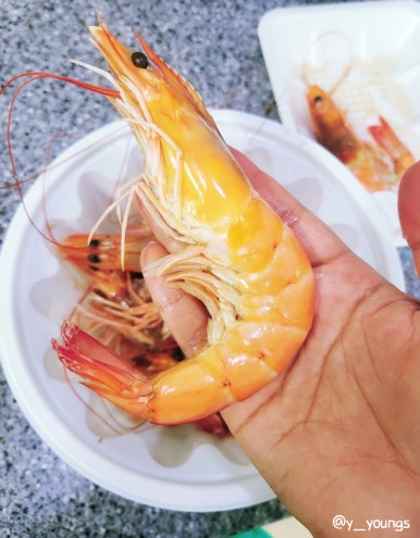 수시호 이미지