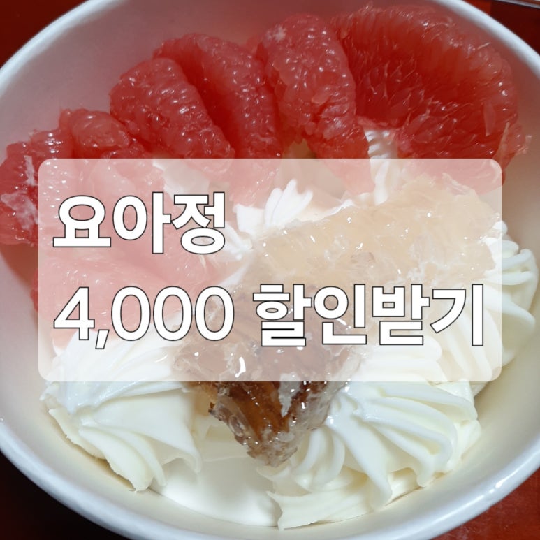 요아정대구 이미지