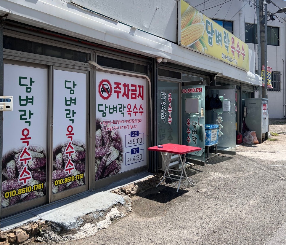 담벼락옥수수 이미지