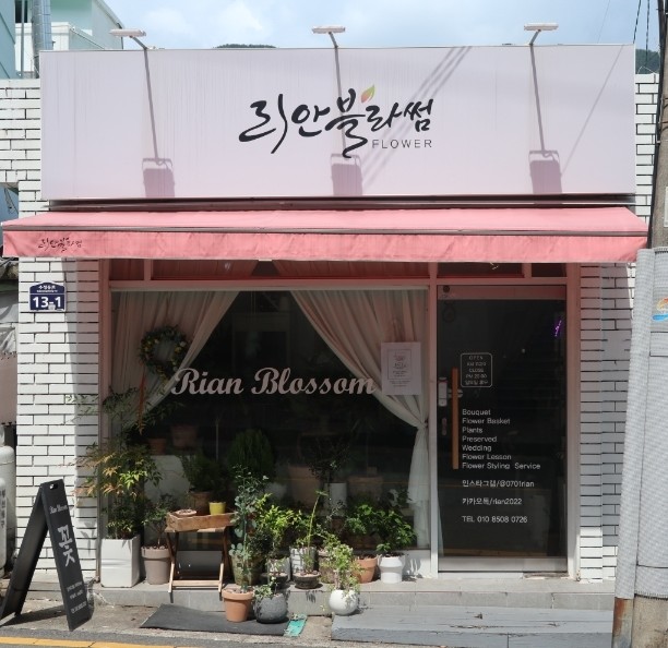 리안블라썸 이미지