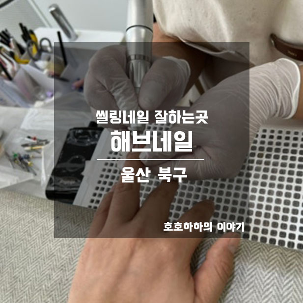 해브네일 이미지