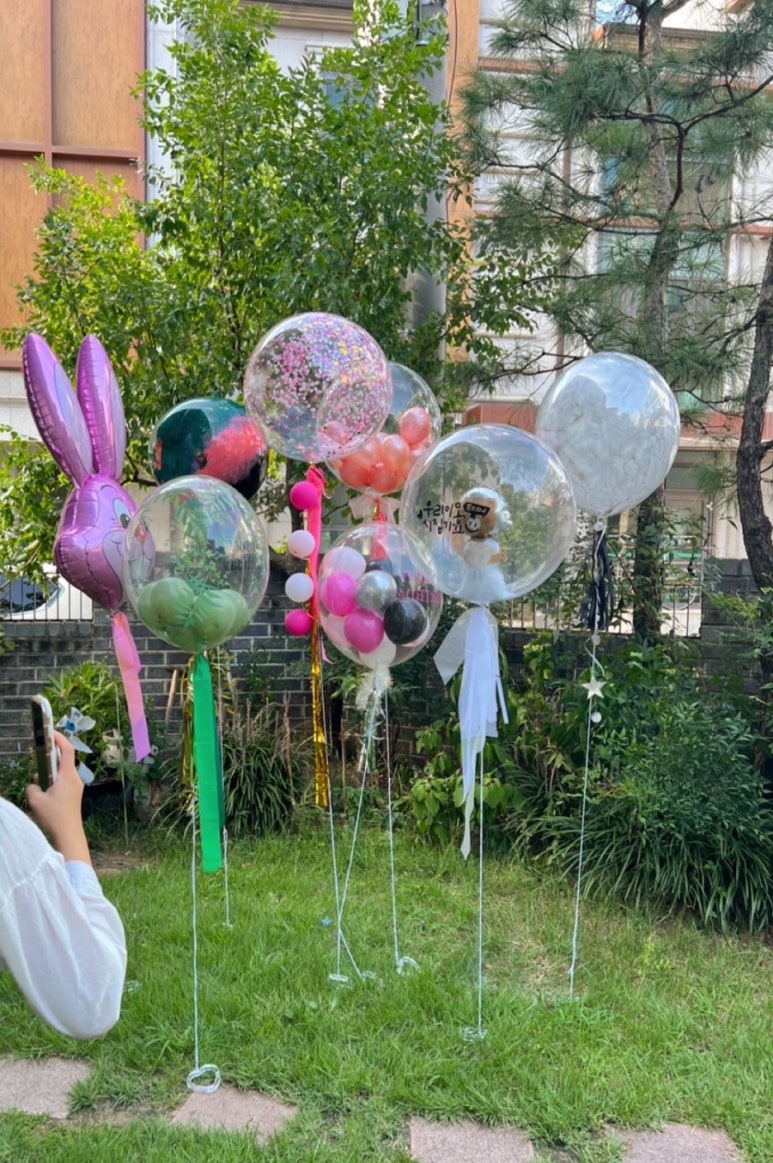 파티멜리시 이미지