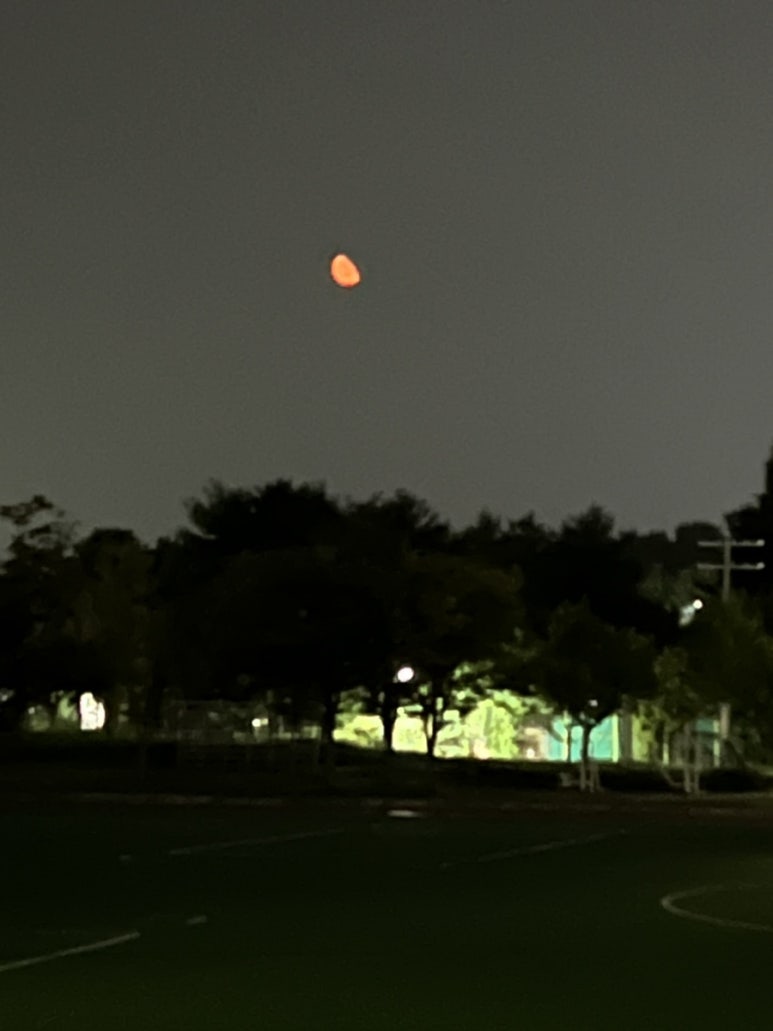 정스수정 이미지