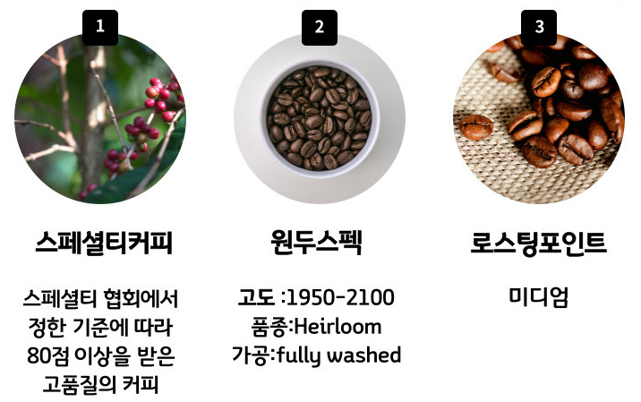 연두커피 인터내셔날(주) 이미지