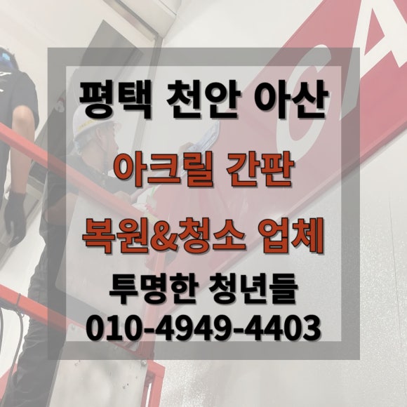투명한청년들 이미지
