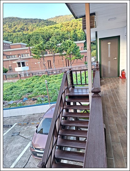 푸조와곰솔B 이미지