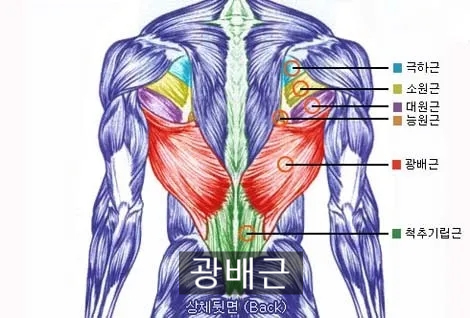 바디제이짐 이미지