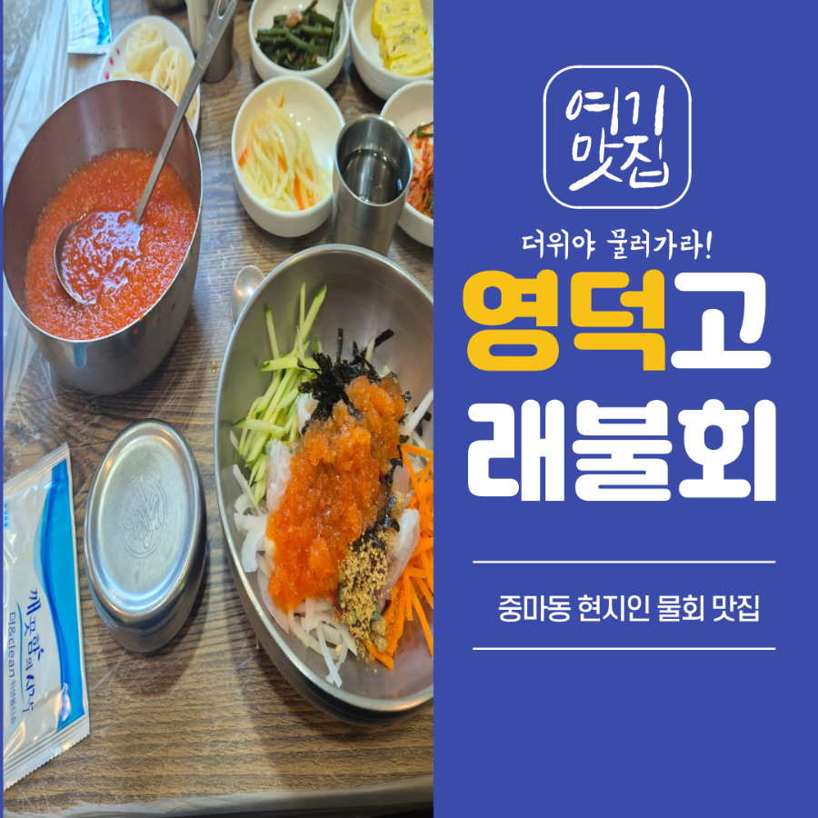 영덕고래불회 이미지