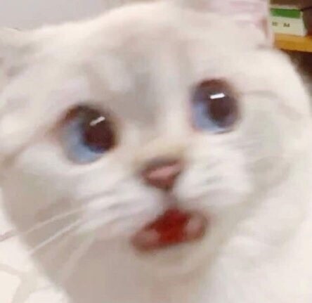 피자박사 이미지