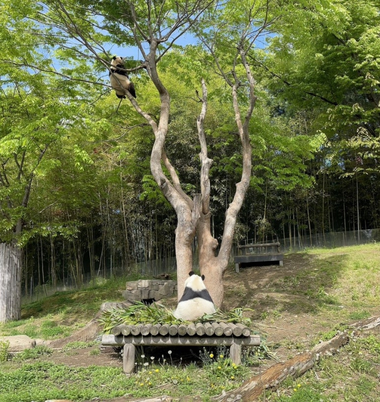 먹는이야기 이미지