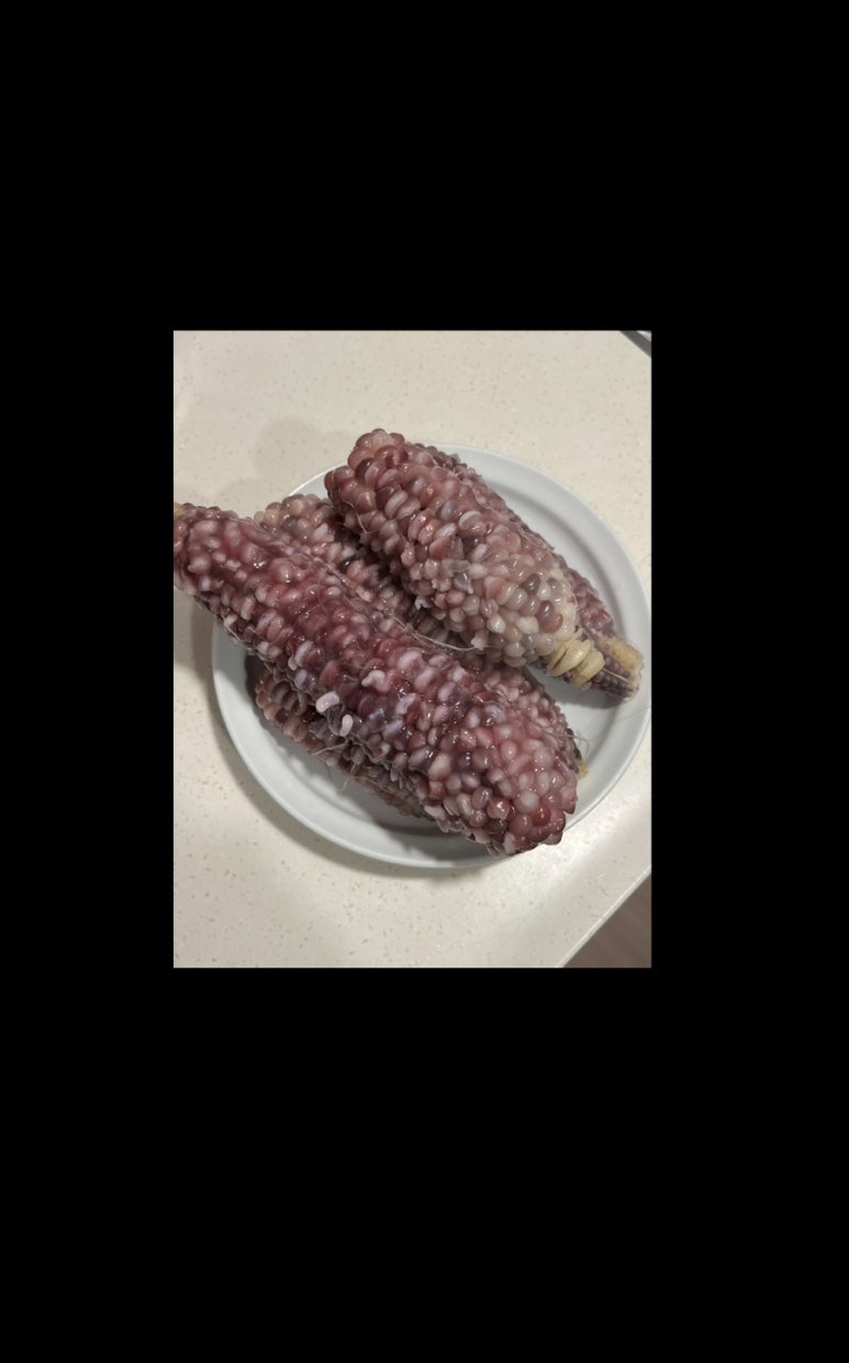 삼정한우실비식당 이미지
