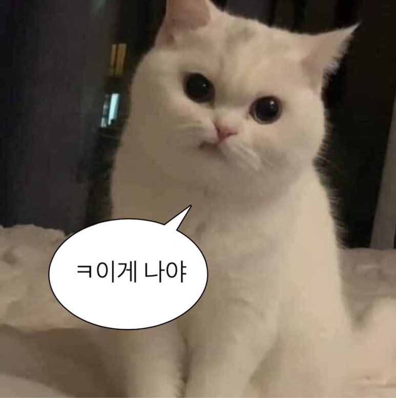 김예 이미지