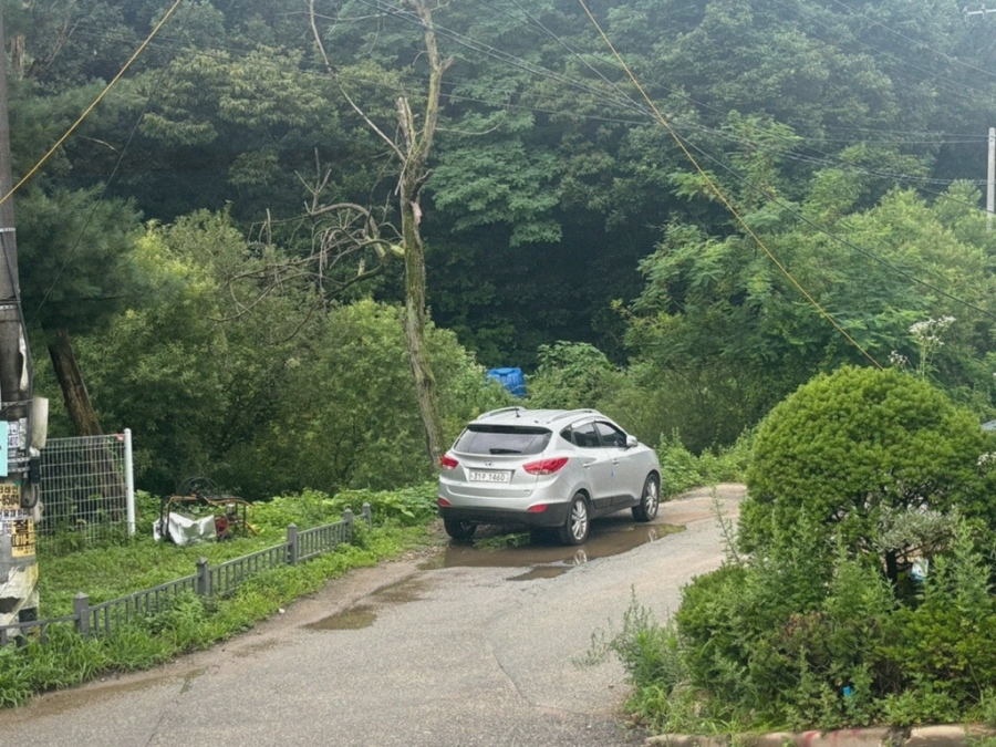 오리와친구들 이미지