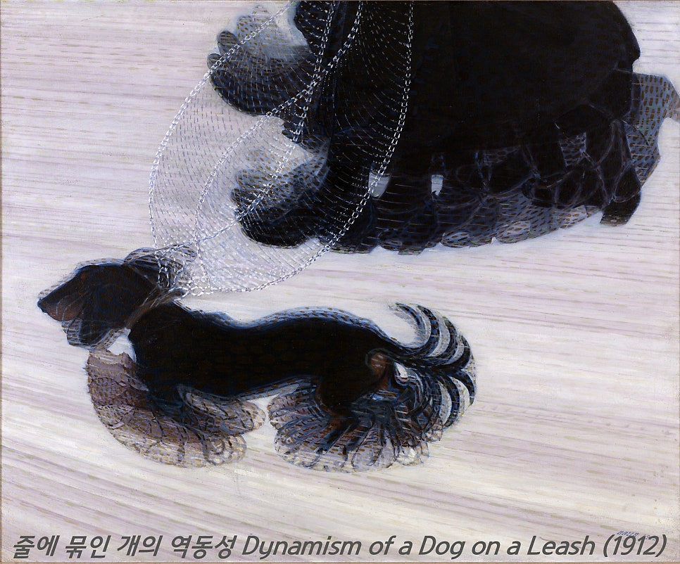 발라(BALLA) 이미지