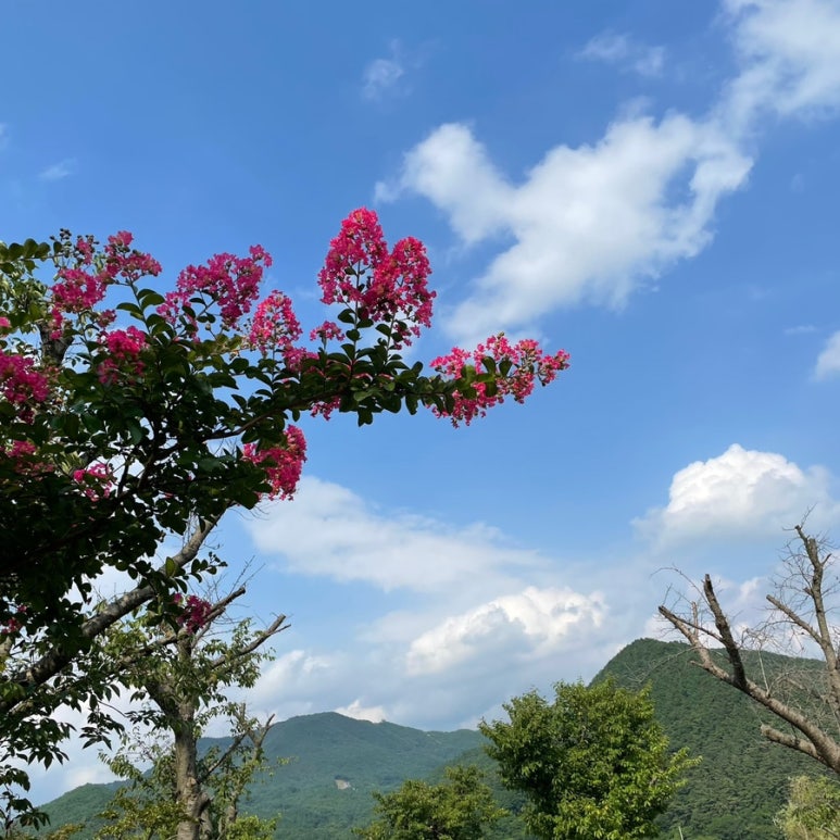 지리산호수공원오토캠핑장 이미지