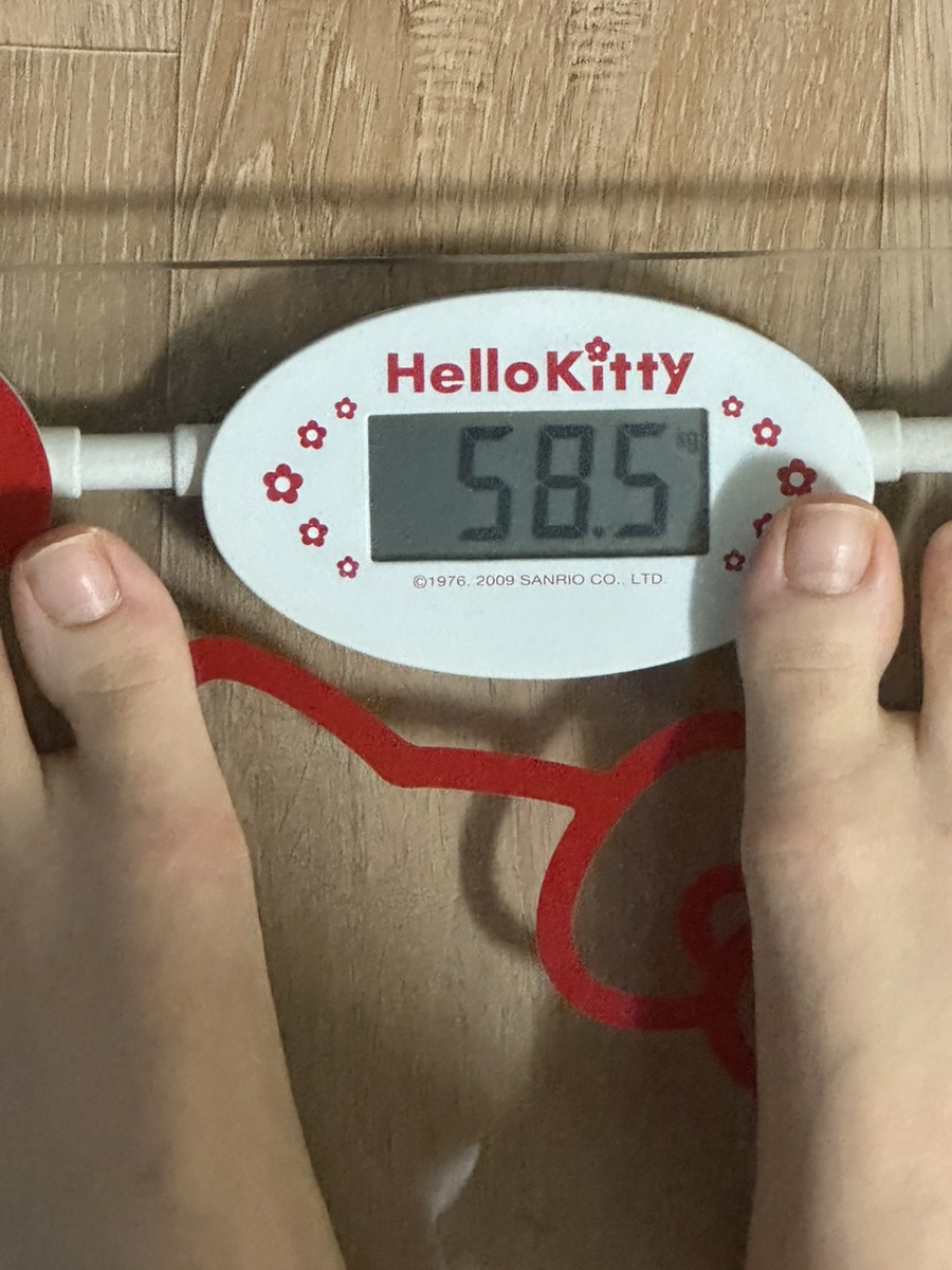비비쿡 이미지