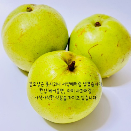그린시스 이미지