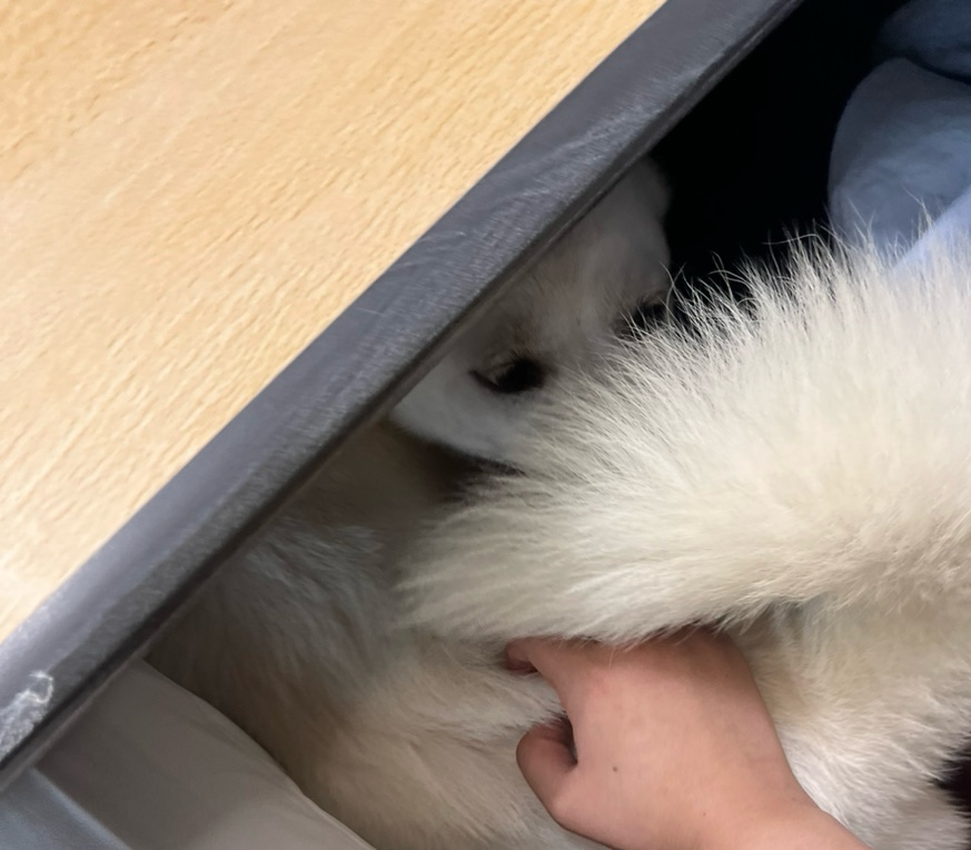 도자공방가원 이미지
