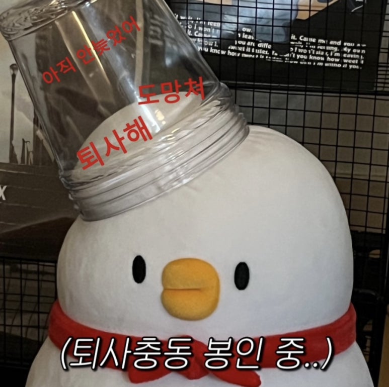 매일회사랑 이미지