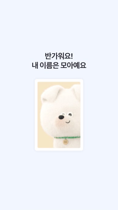 펫시즌 이미지