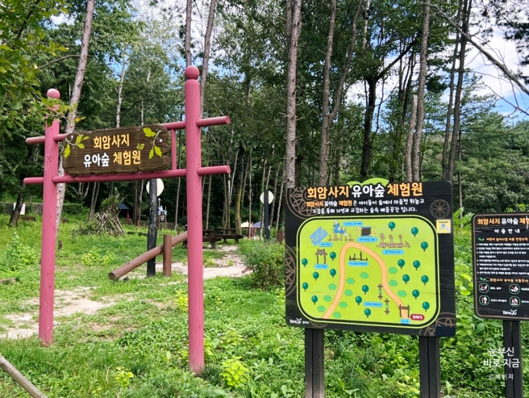 회암사지 유아숲체험원 이미지