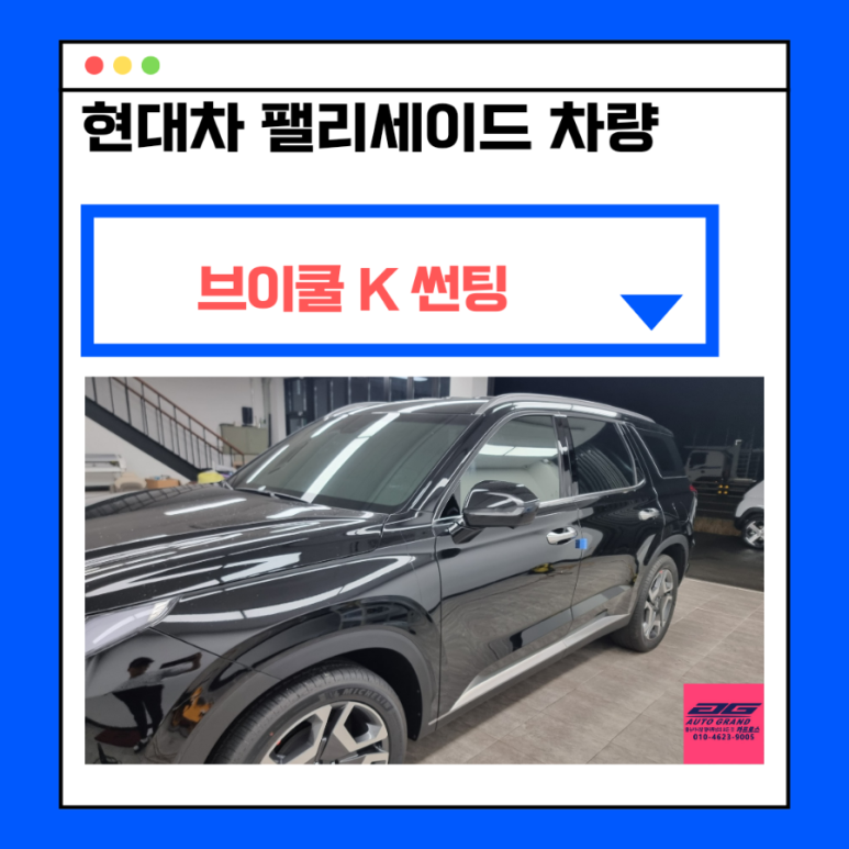 카프로스 이미지